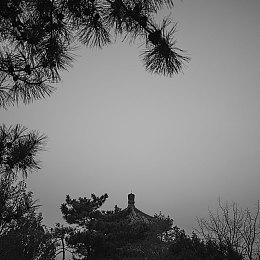 拍照模式还要等 《星刃》更新添加PS5 Pro支持